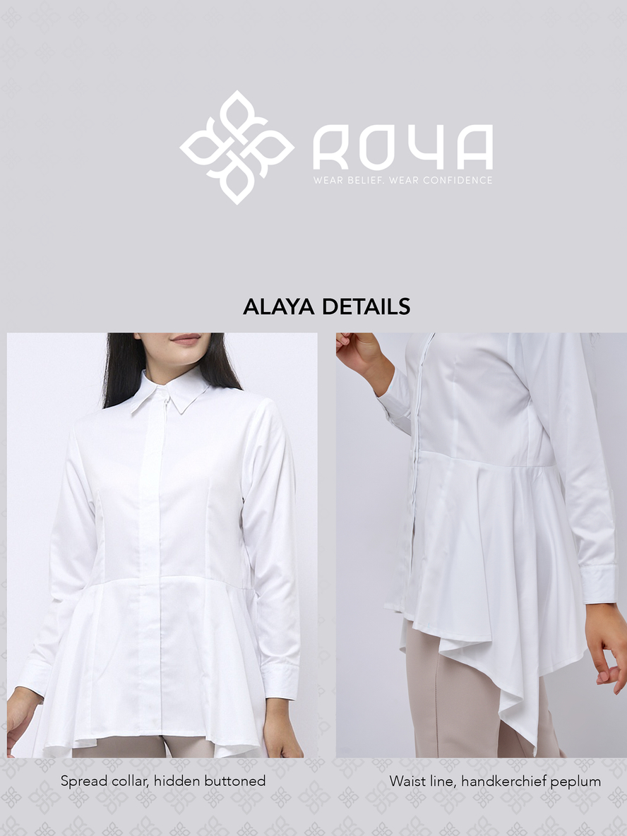 Media 29
