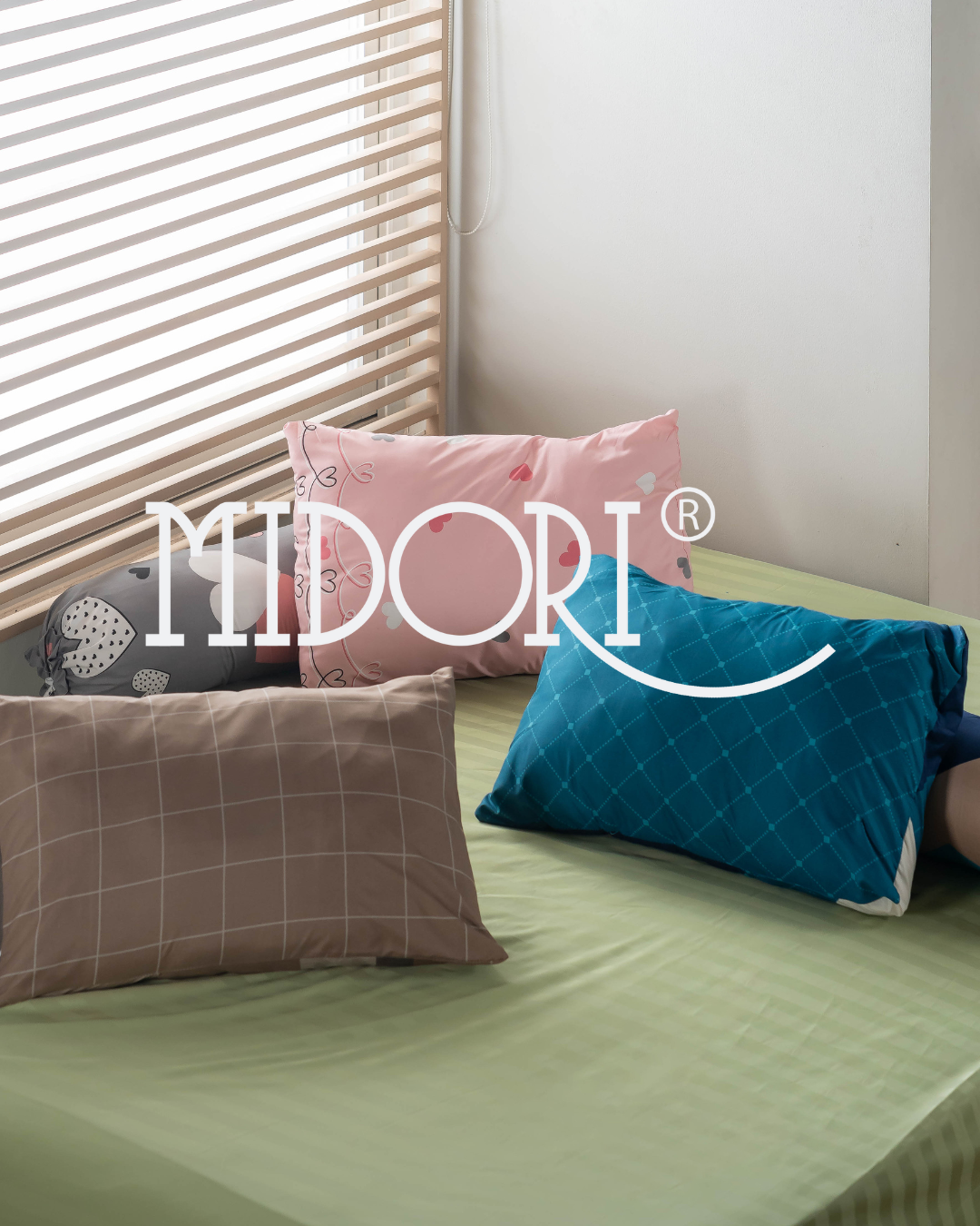 collection banner
