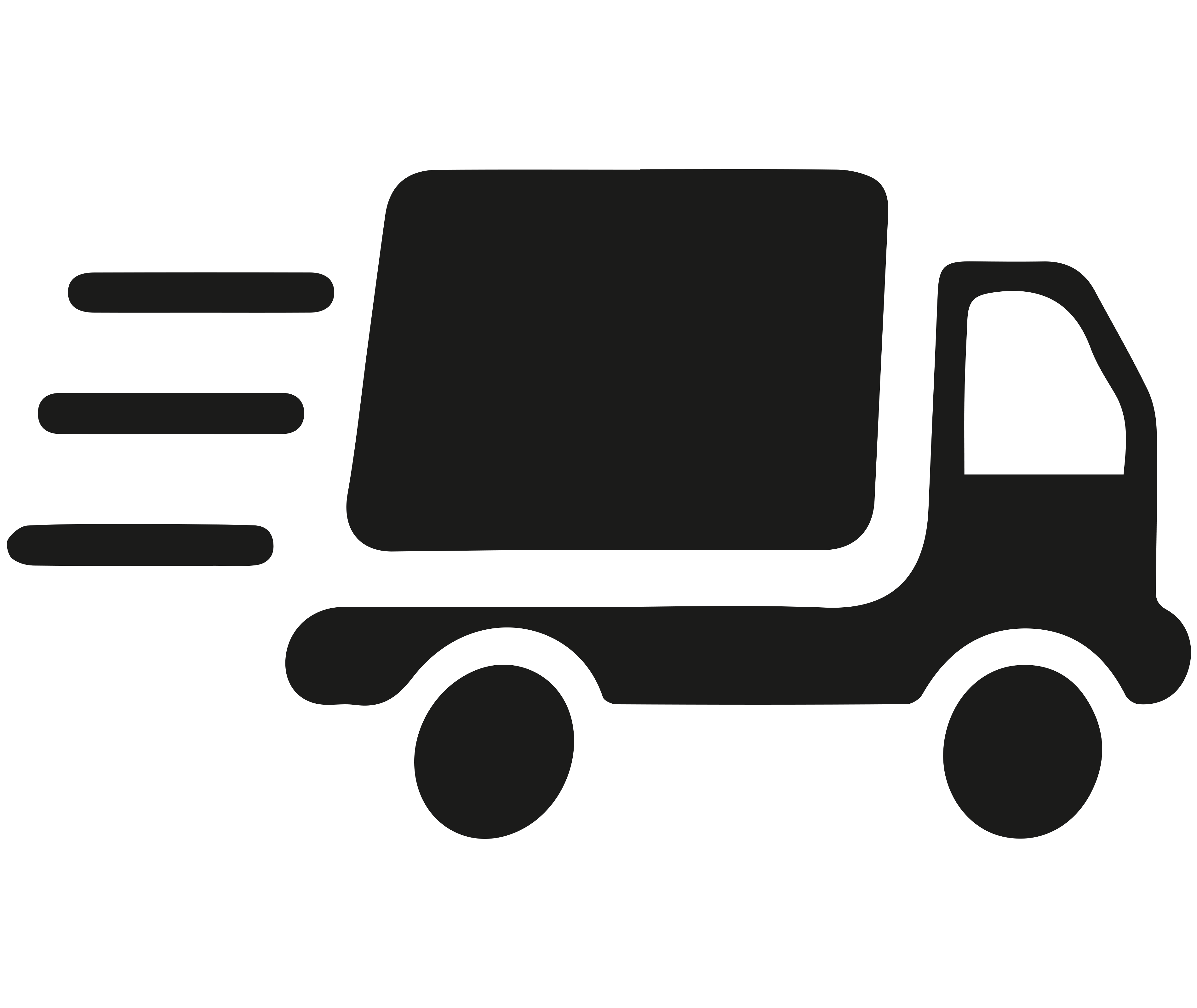 icon-Fast Shipping