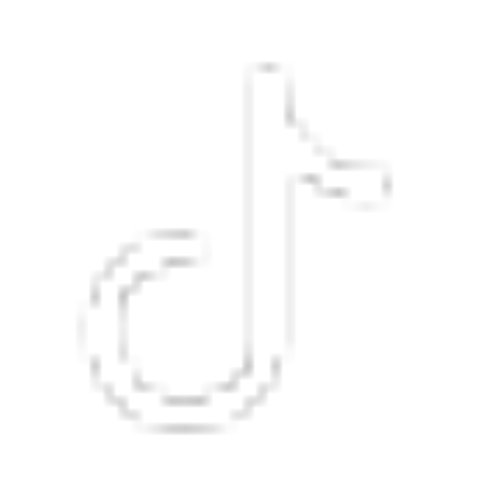icon-tiktok