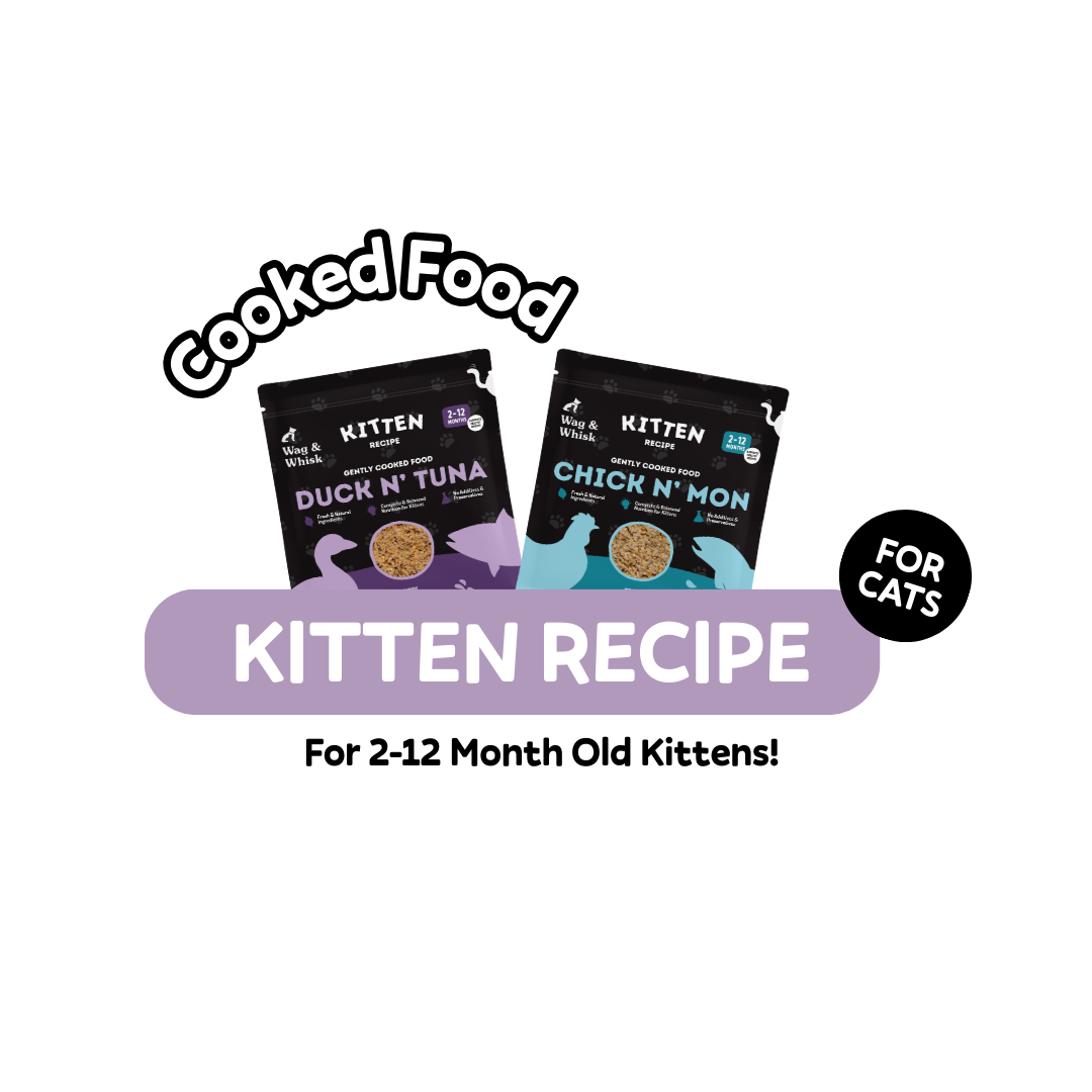Kitten Recipe - Cat Cooked Food