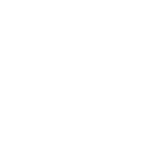 icon-Official Store 