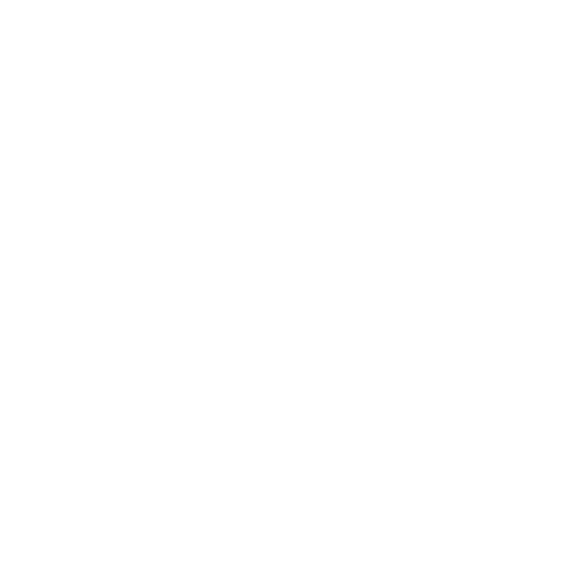 icon-Shopee