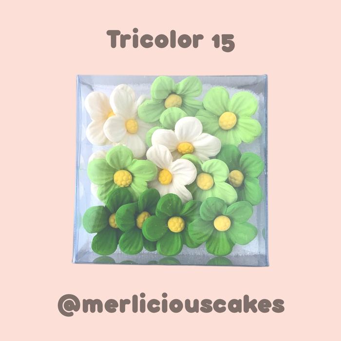 Media 2