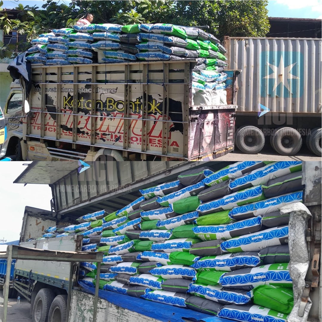 Media 12