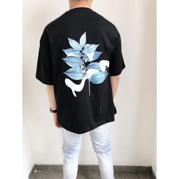 Media 13