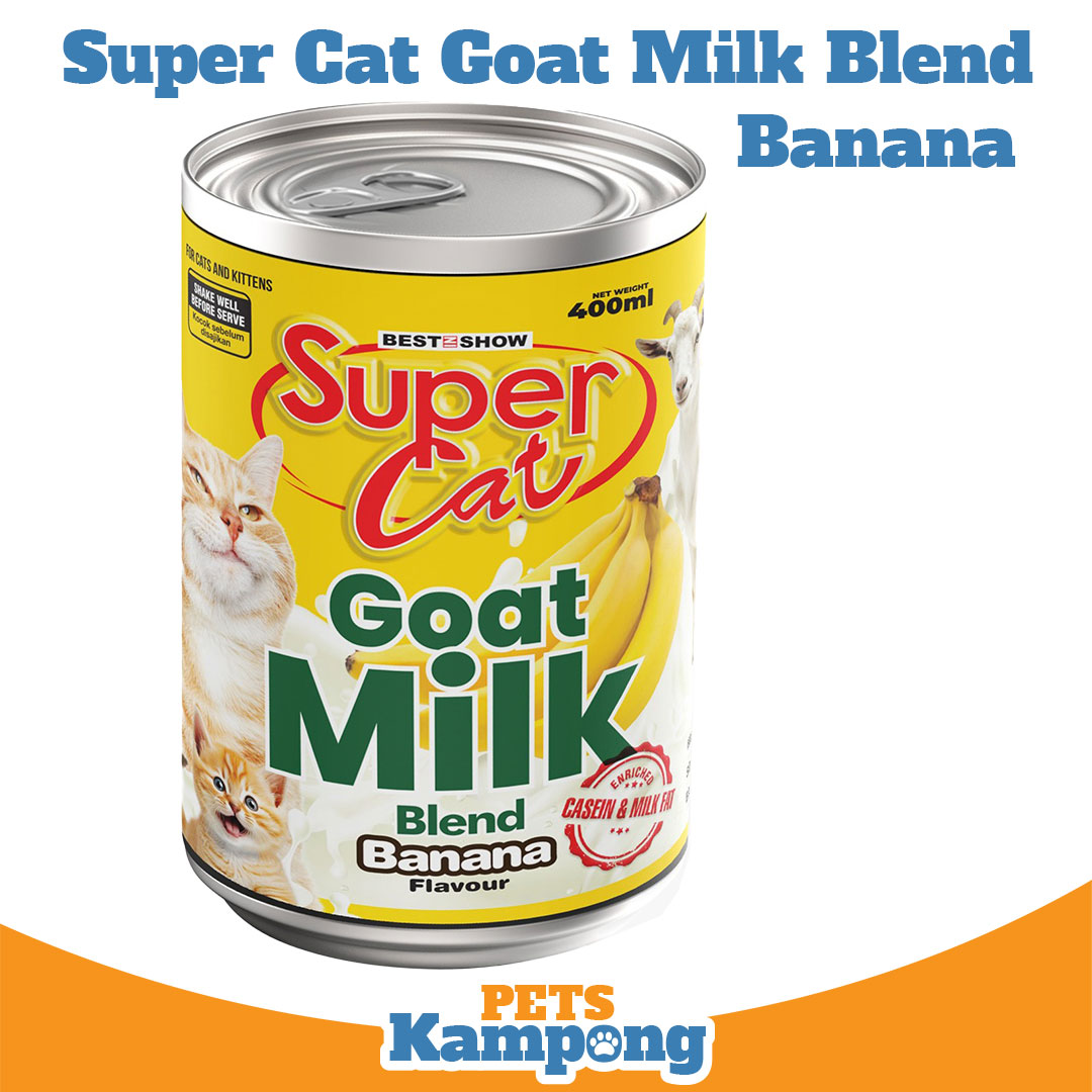 Media 27