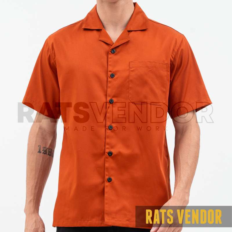 Media 12