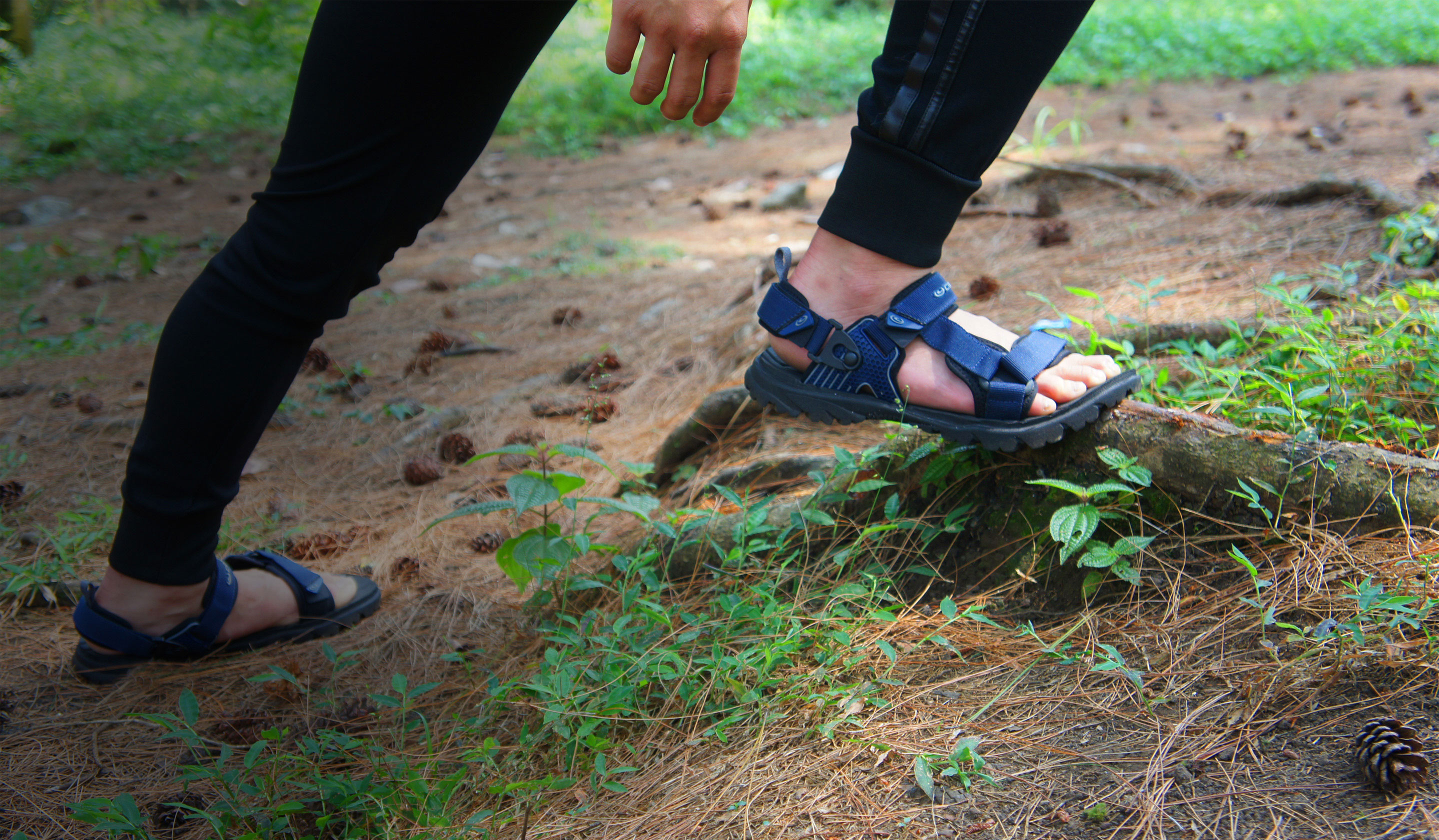 Hiking