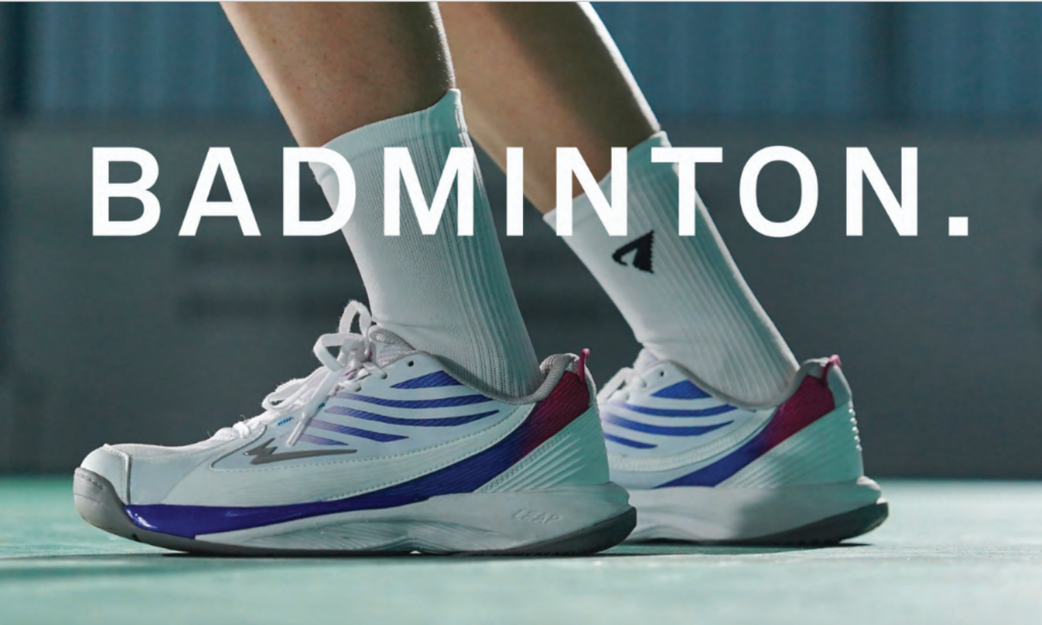 collection banner
