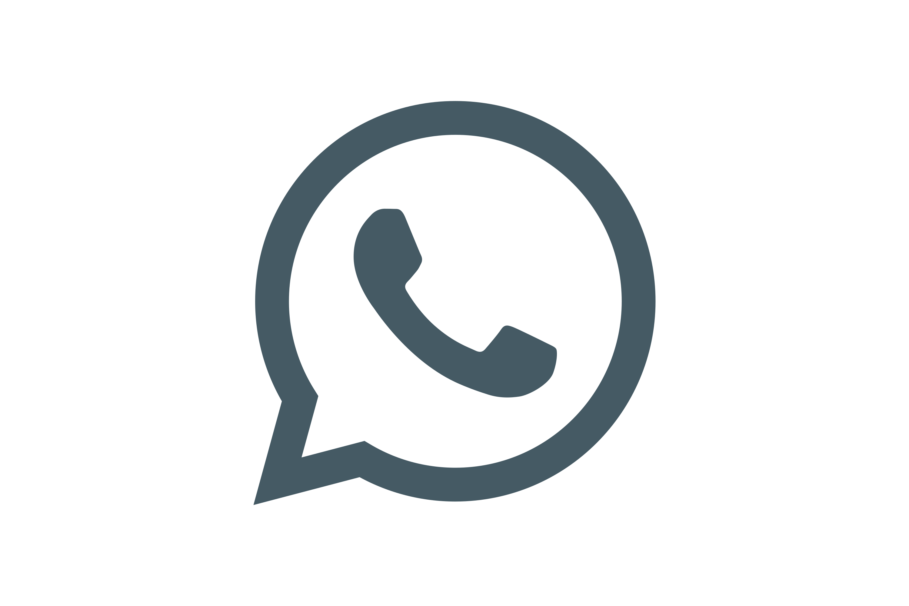 icon-Whatsapp Number