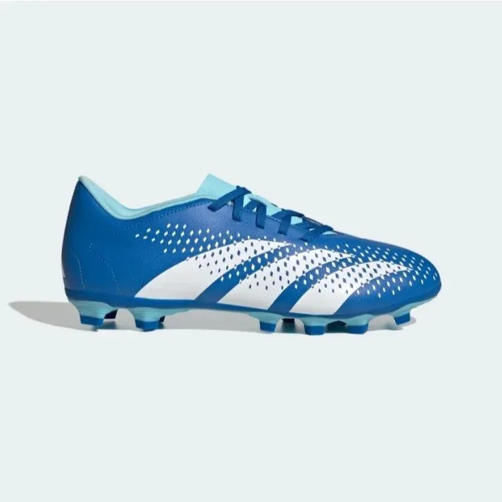 Media 36