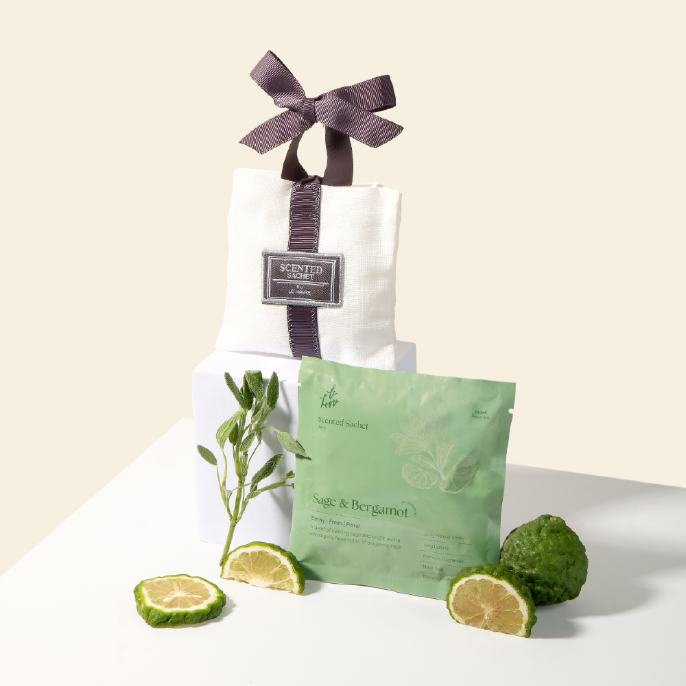 Media 2