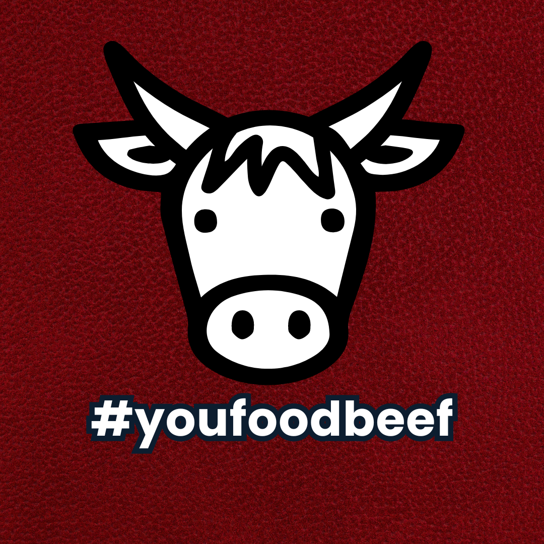 BEEF PRODUCT